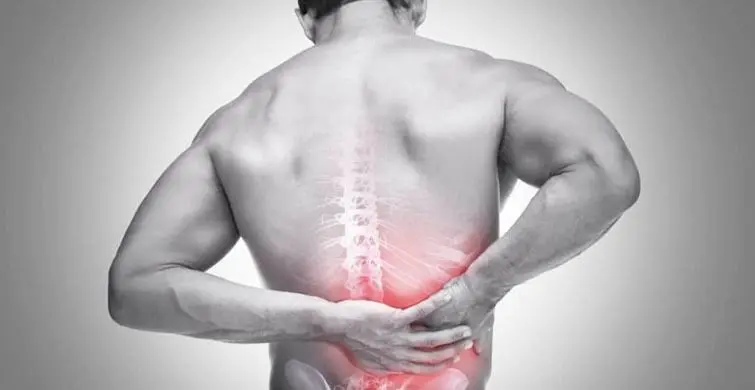 Hareketsiz Yaşam Bel Düzleşmesine Neden Olabilir