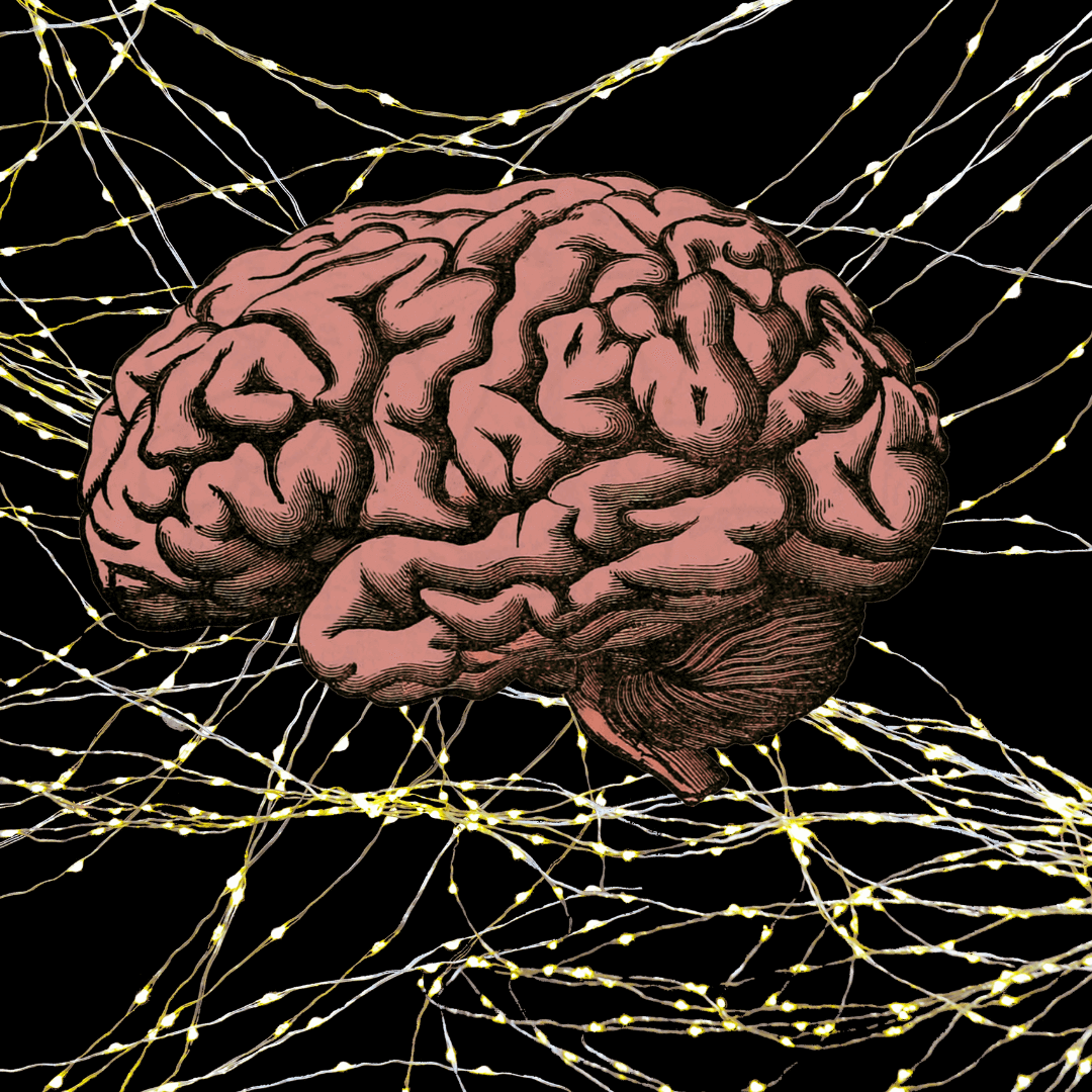 Balık Hafızasından Yola Çıkarak Bunamaya Karşı Yeni Bir Tedavi Yöntemi Geliştiriliyor