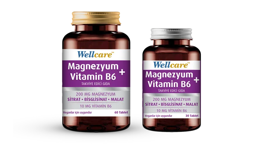 Wellcare Magnezyum + B6
