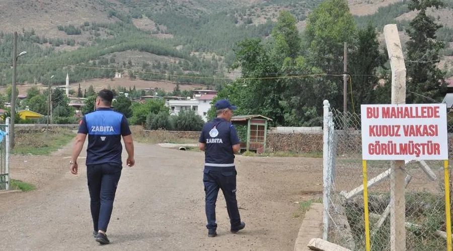 Gaziantep'te Kuduz Vakası Sonrası İki Mahalle Karantinaya Alındı!